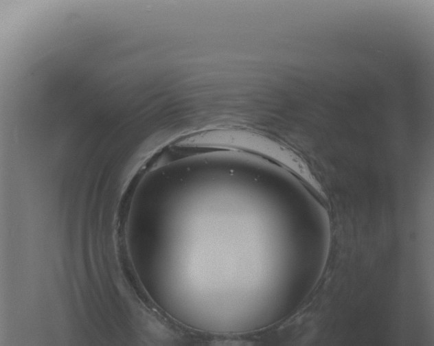 X0000061150242200511241838