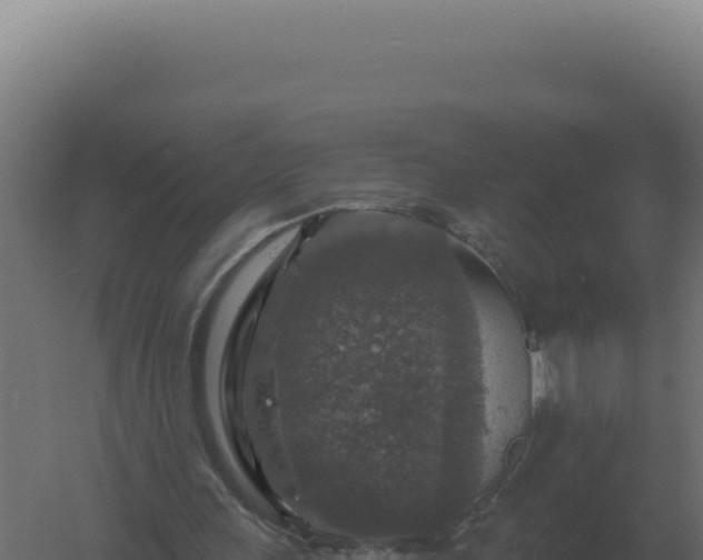 X0000061150243200511241838