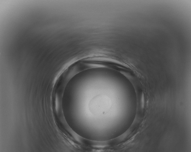 X0000061150244200511241838