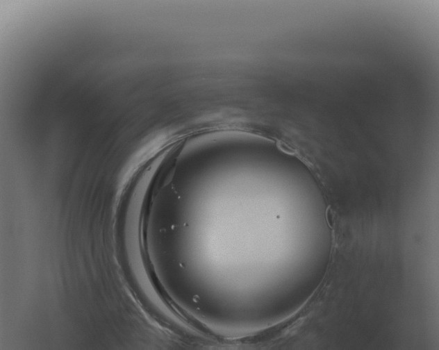 X0000061150245200511241838