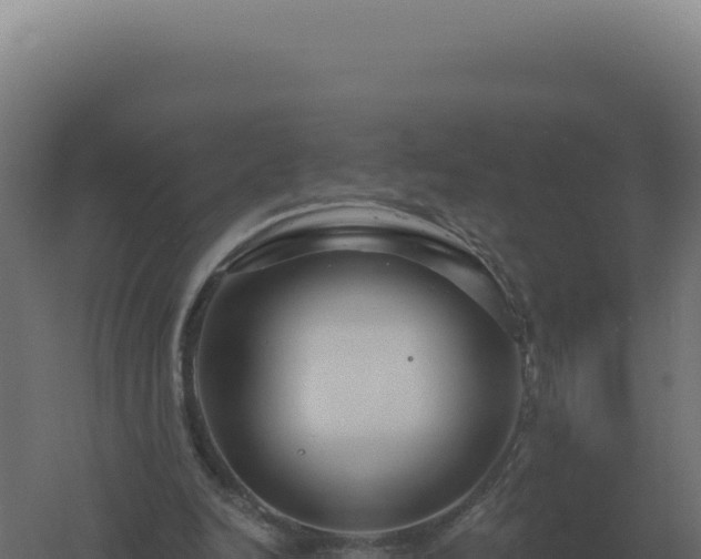 X0000061150246200511241838