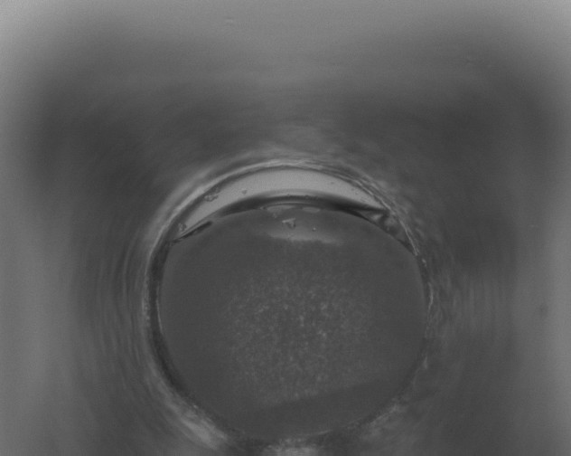 X0000061150247200511241838