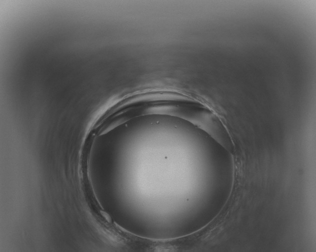 X0000061150248200511241838