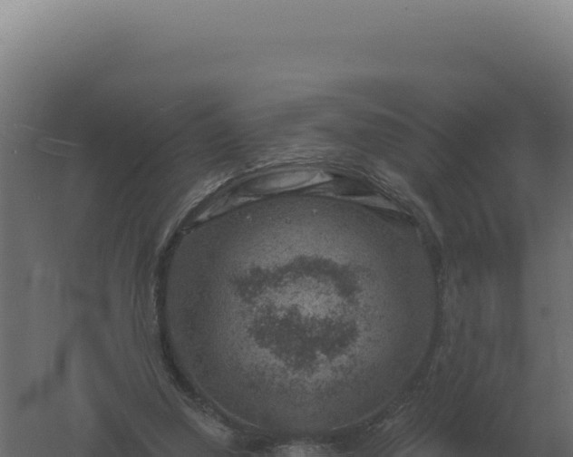 X0000061150250200511241838