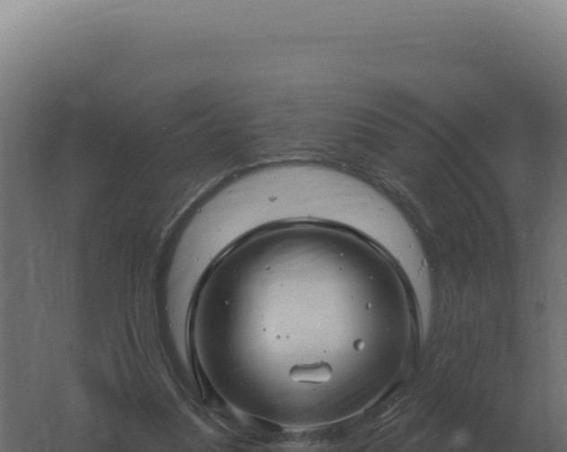 X0000061150251200511241838