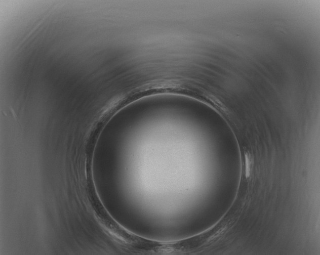 X0000061150253200511241838