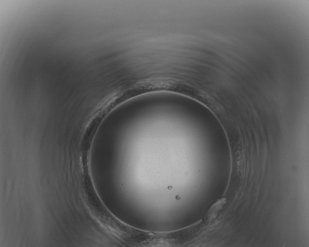 X0000061150254200511241838