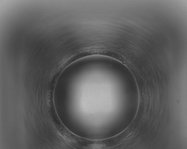 X0000061150255200511241839