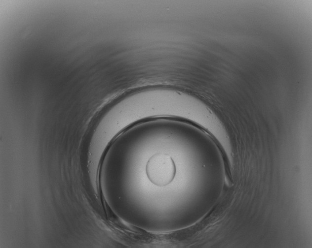 X0000061150256200511241839