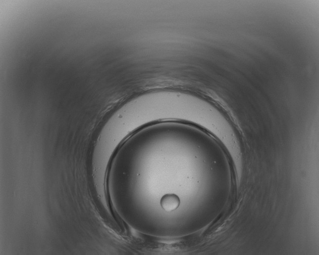 X0000061150257200511241839