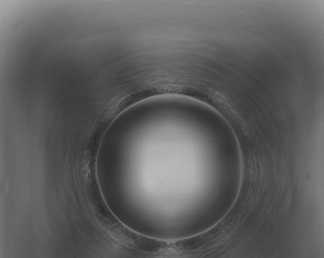 X0000061150259200511241839