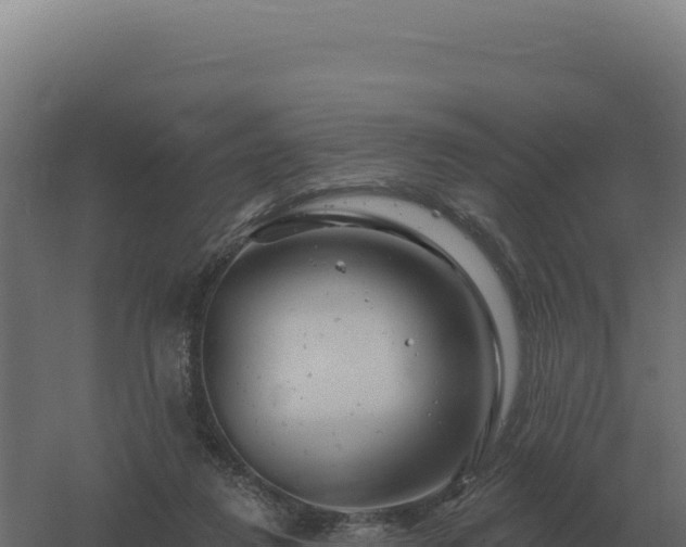 X0000061150260200511241839