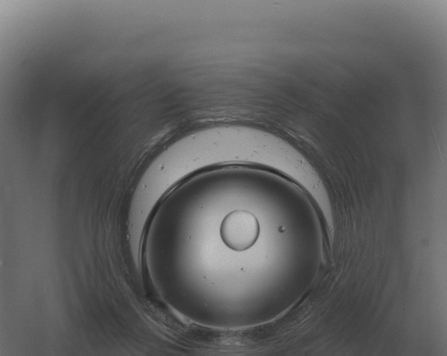 X0000061150264200511241839