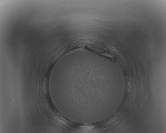 X0000061150266200511241839