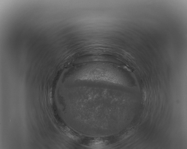 X0000061150267200511241839