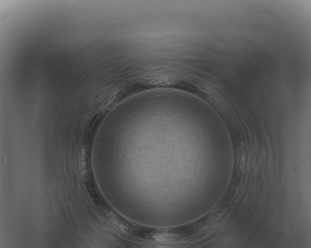 X0000061150268200511241839