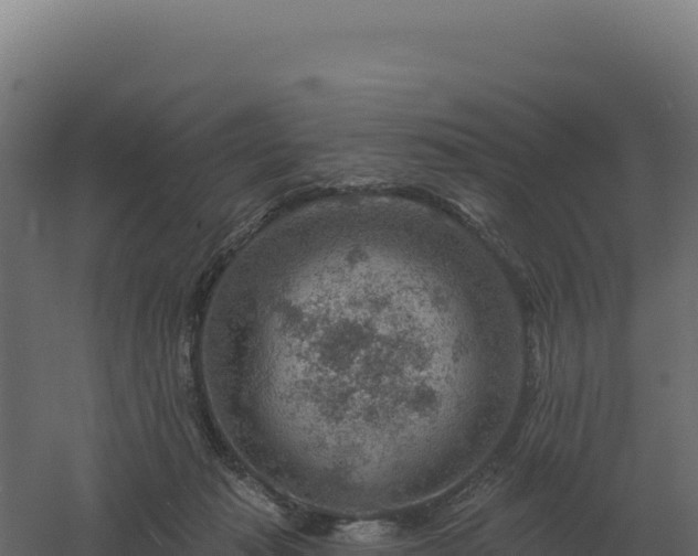 X0000061150269200511241839