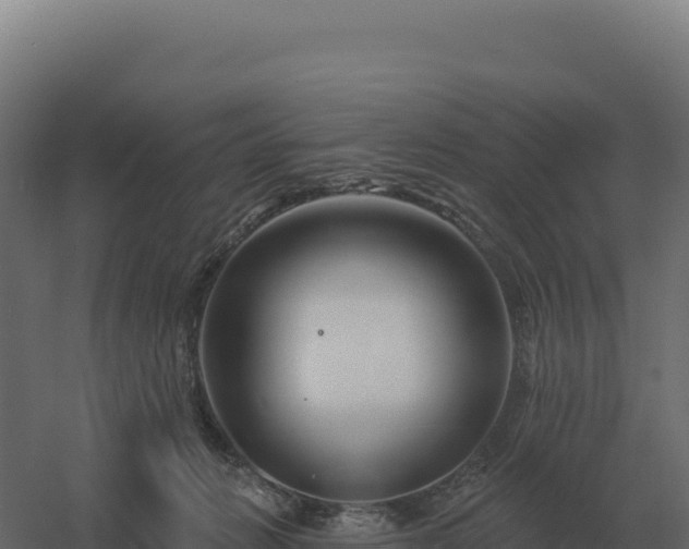 X0000061150270200511241839