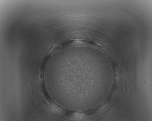 X0000061150272200511241839