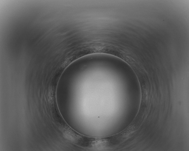 X0000061150274200511241839