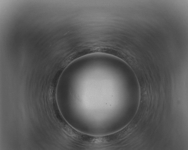 X0000061150275200511241839