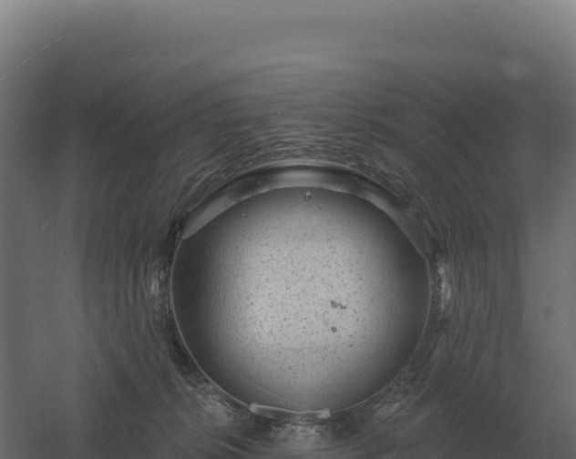 X0000061150276200511241839