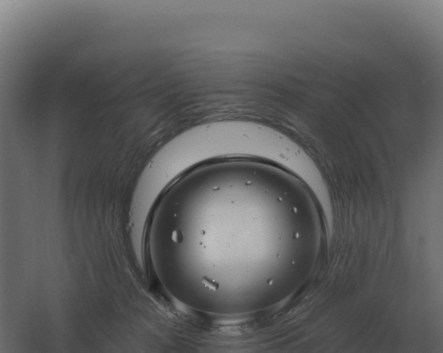 X0000061150277200511241839