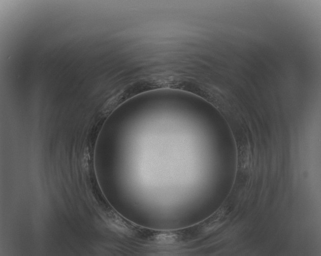 X0000061150279200511241839