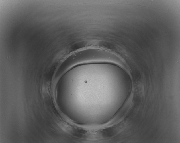 X0000061150280200511241839