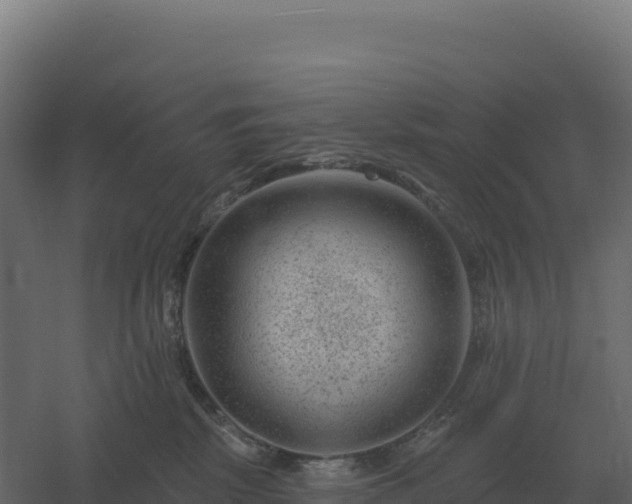 X0000061150281200511241839