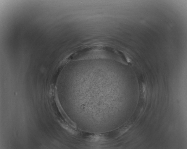 X0000061150284200511241839