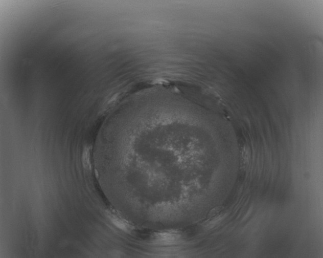 X0000061150286200511241839