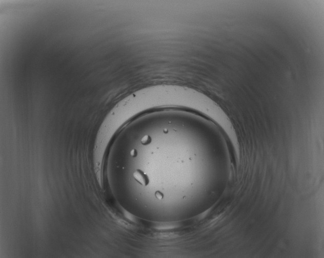 X0000061150287200511241839