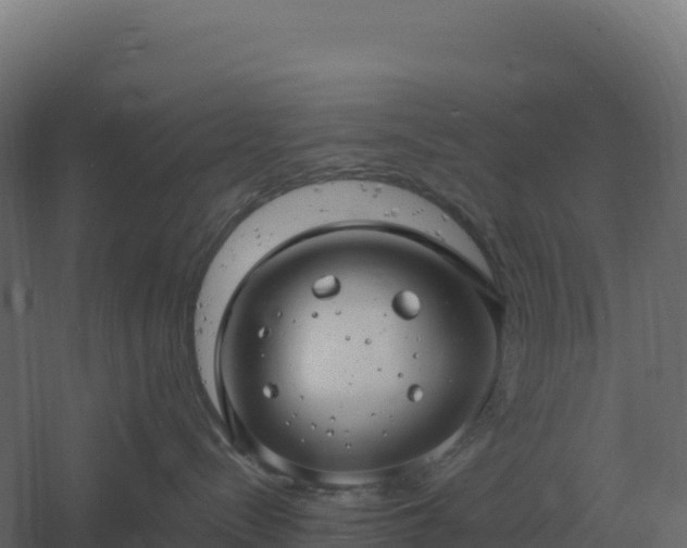 X0000061150288200511241839