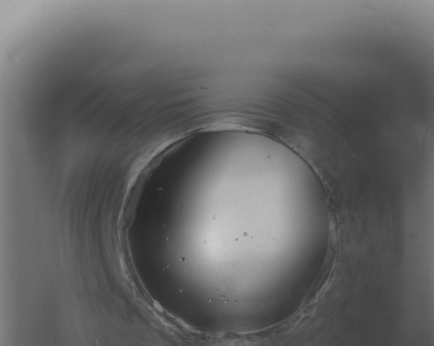 X0000061150289200511241838