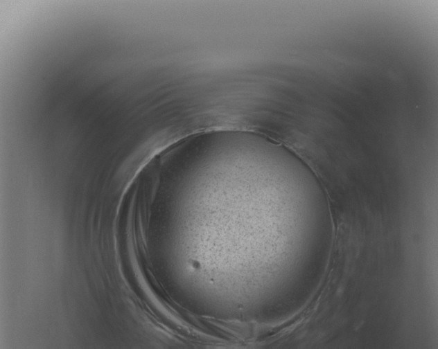 X0000061150290200511241838