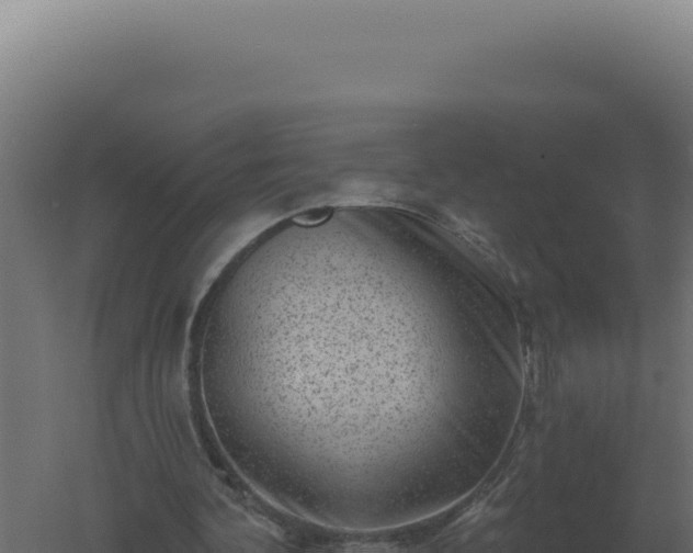 X0000061150292200511241838