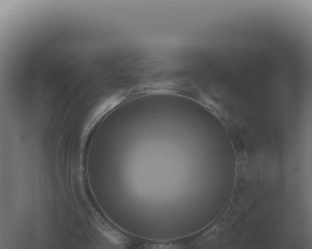 X0000061150293200511241838