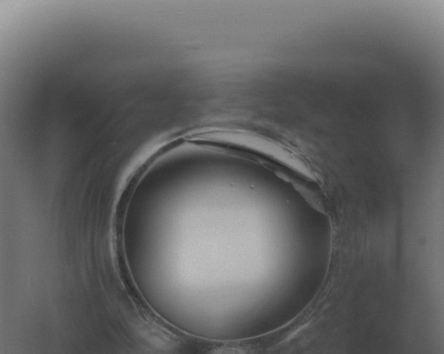 X0000061150294200511241838