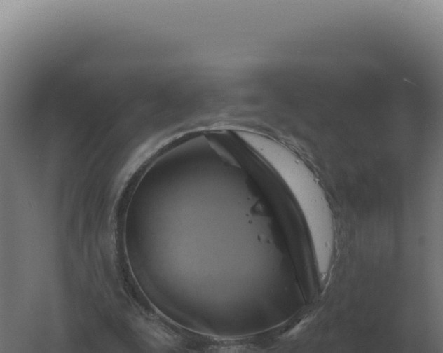 X0000061150295200511241838