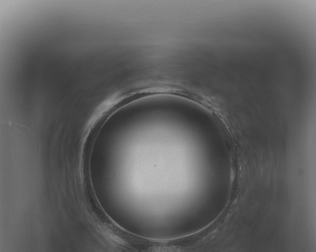 X0000061150296200511241838