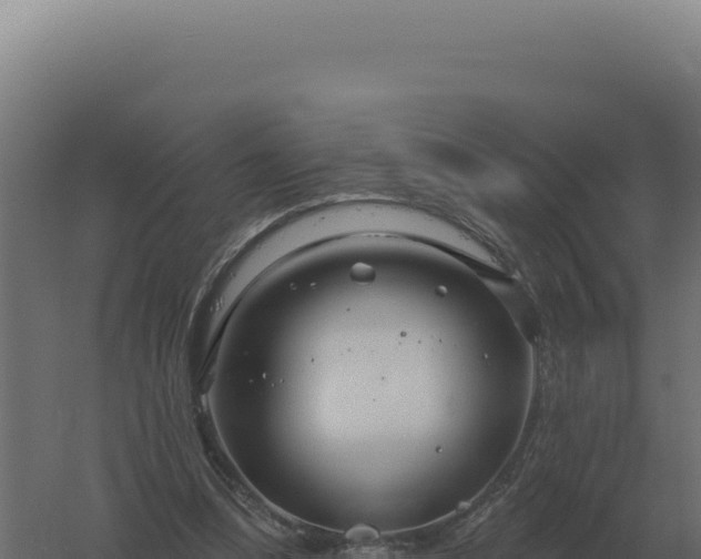 X0000061150298200511241838