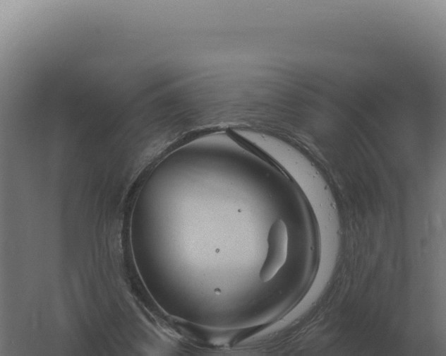 X0000061150299200511241838