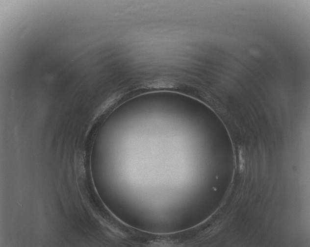 X0000061150300200511241838