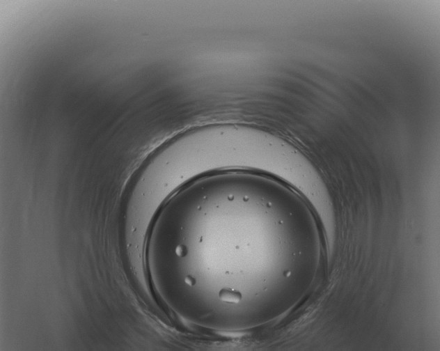 X0000061150301200511241838