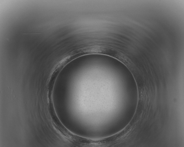 X0000061150302200511241838