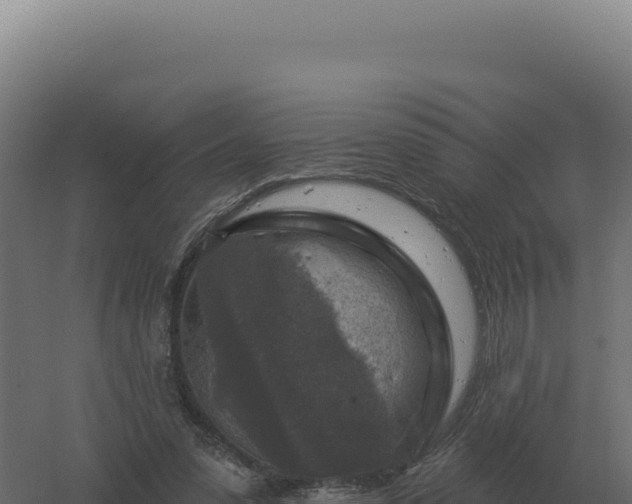 X0000061150303200511241838