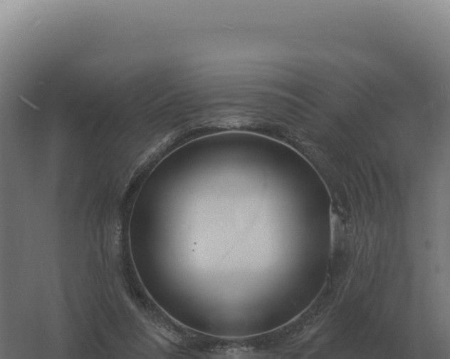 X0000061150304200511241838