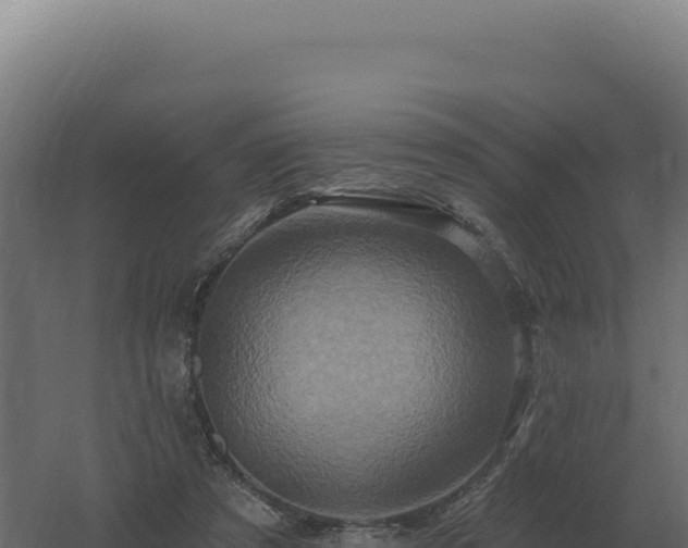 X0000061150305200511241838