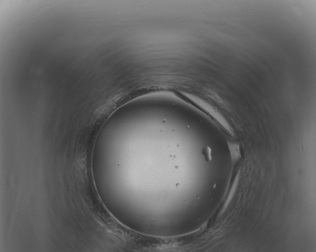 X0000061150306200511241838